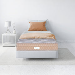 Sleepwell Spring Fresh Classic | 3 Zone Profiled Resitec Foam |  Pocket Spring | Neem Fresche Technology | Anti Sag Mattress