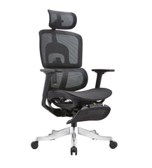 Skyland Premium Office Chair - Ergonomic Dynamic Backrest, Synchro Reclining, High-Back, Lumbar Support, Breathable Mesh - Adjustable Headrest, Footrest, Seat Depth, Soft 3D Armrests - Aluminum Base