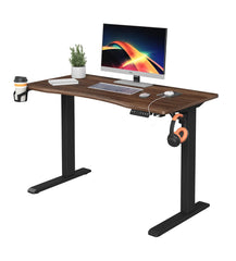 Skyland Electric Height Adjustable Desk, Ergonomic Sit-Stand Desk with Wireless Charging, USB&Type-C Ports, Home Office Workstation (Black)