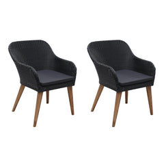 vidaXL Outdoor Chairs with Cushions 2 pcs Poly Rattan Black