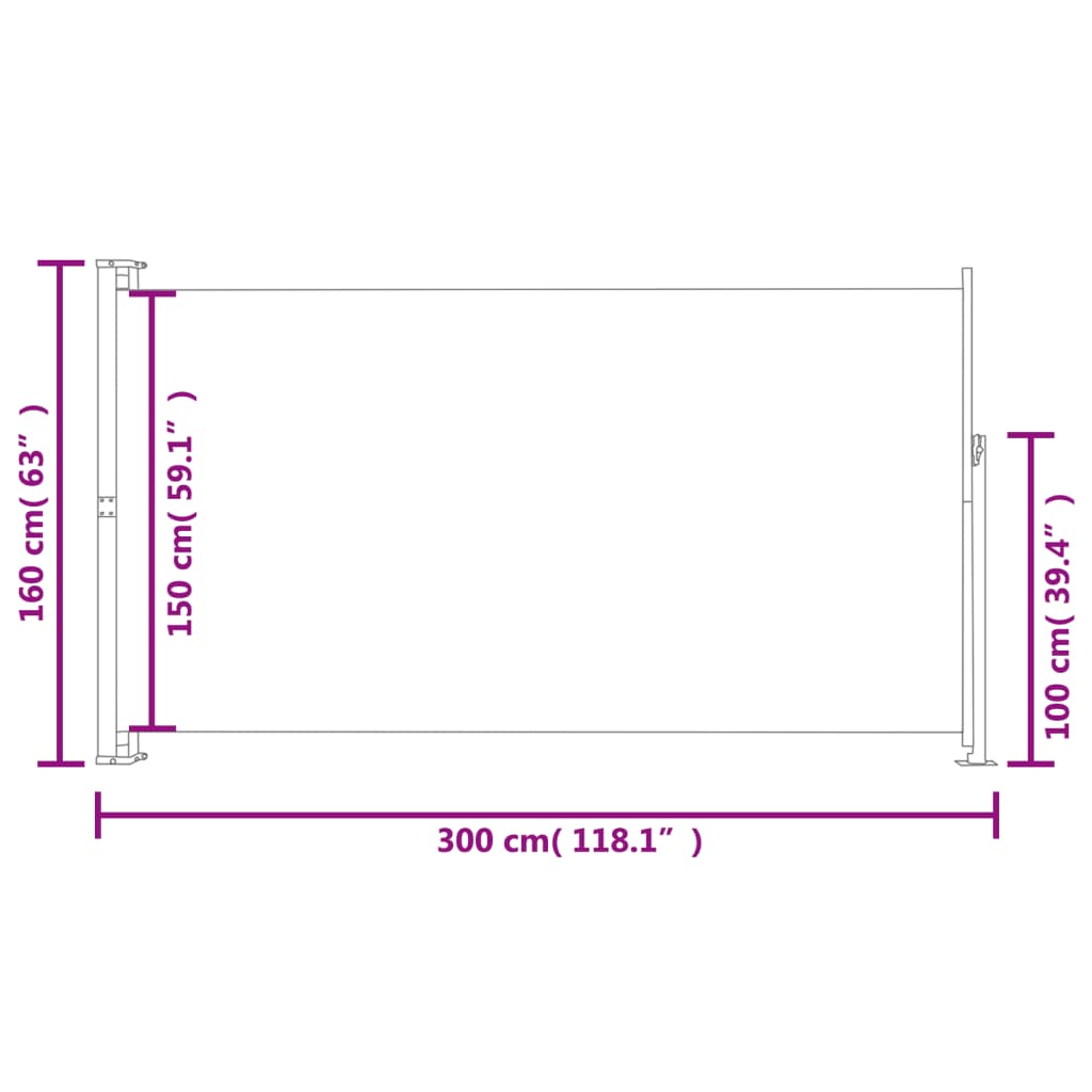 vidaXL Patio Terrace Side awning 160 x 300 cm Black