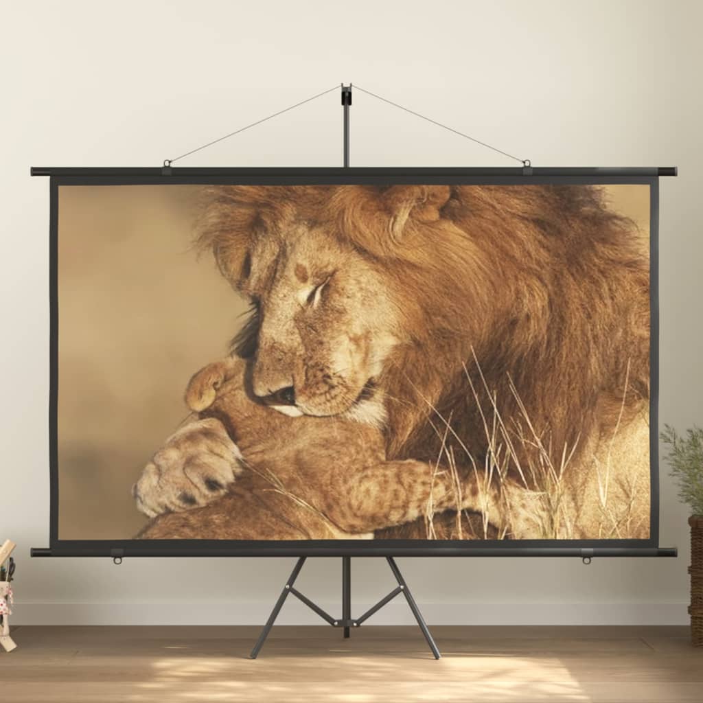 vidaXL Projection Screen with Tripod 90" 16:9