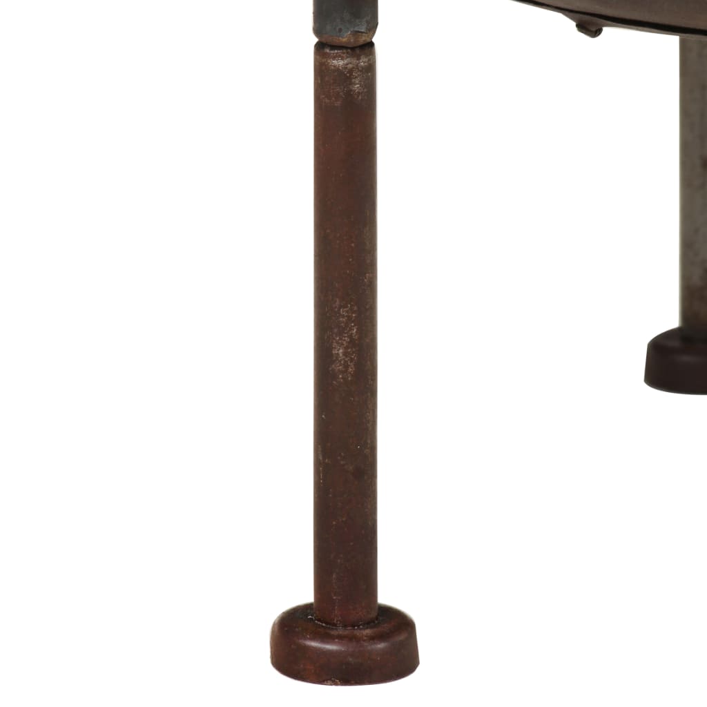 vidaXL Rustic Fire Pit �� 40 cm Iron