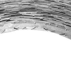 vidaXL BTO-22 Razor Wires 2 pcs 100 m Steel
