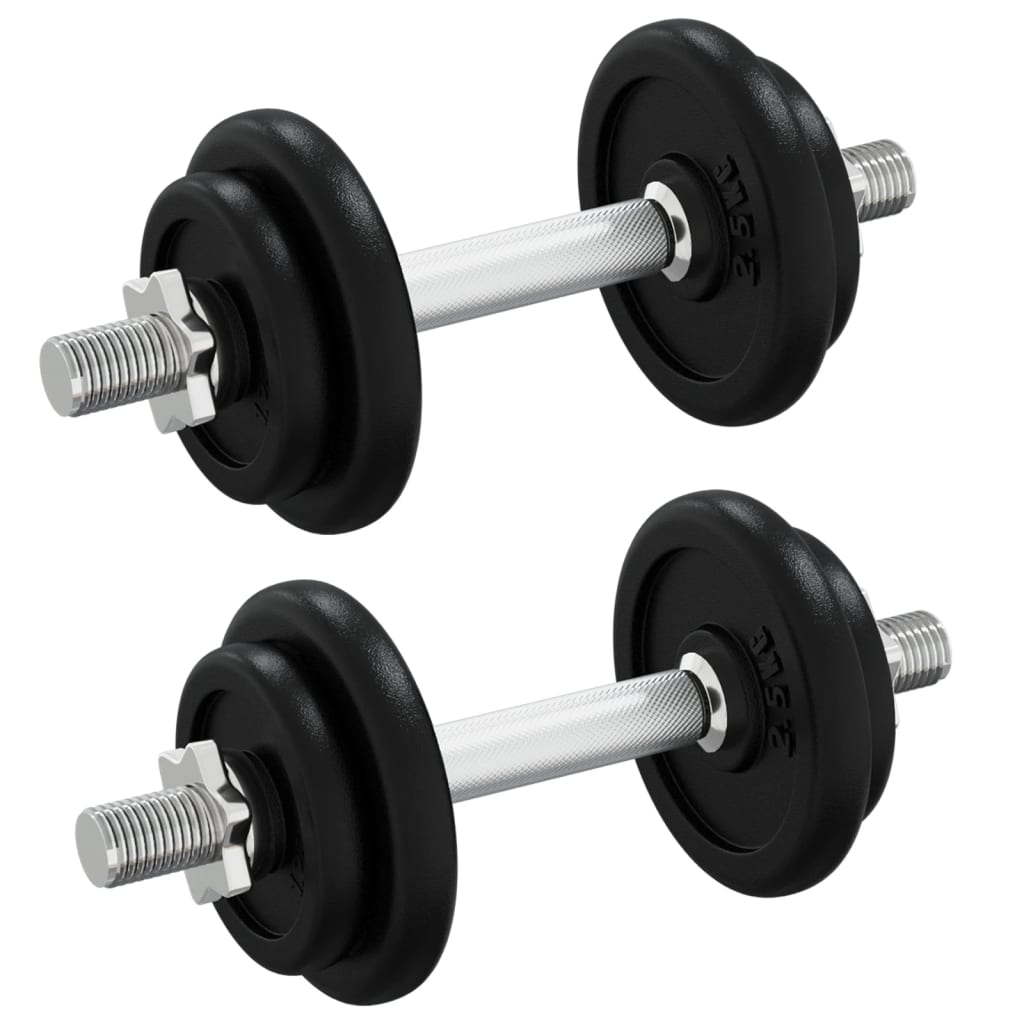 vidaXL Dumbbell with Plates Set 40 kg Cast Iron & Chrome Plated Steel