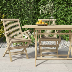vidaXL Folding Garden Chairs 2 pcs 61x67x90 cm Solid Wood Teak